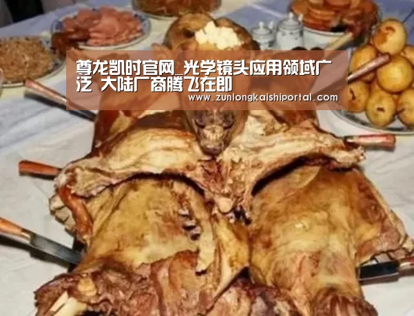 尊龙凯时官网_光学镜头应用领域广泛 大陆厂商腾飞在即(图4) 尊龙凯时