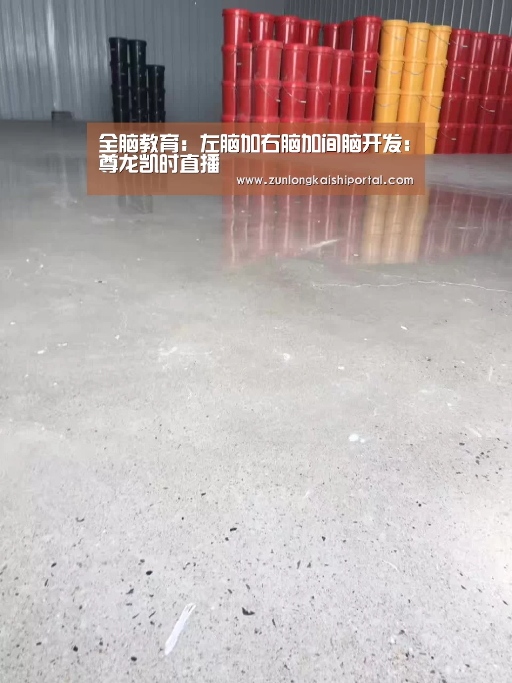 尊龙凯时官网