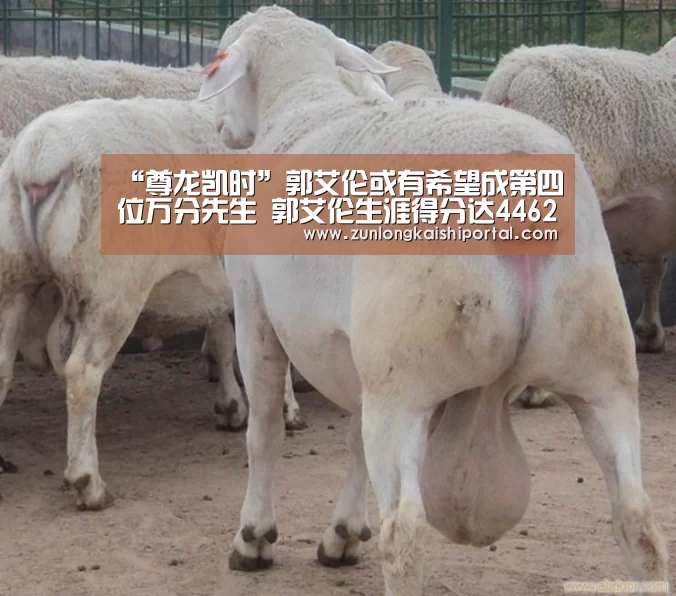 “尊龙凯时”郭艾伦或有希望成第四位万分先生 郭艾伦生涯得分达4462分(图1) 尊龙凯时直播