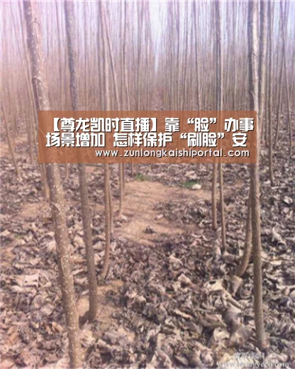 尊龙凯时官网