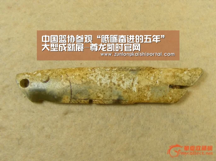 中国篮协参观“砥砺奋进的五年”大型成就展-尊龙凯时官网(图1) 尊龙凯时直播