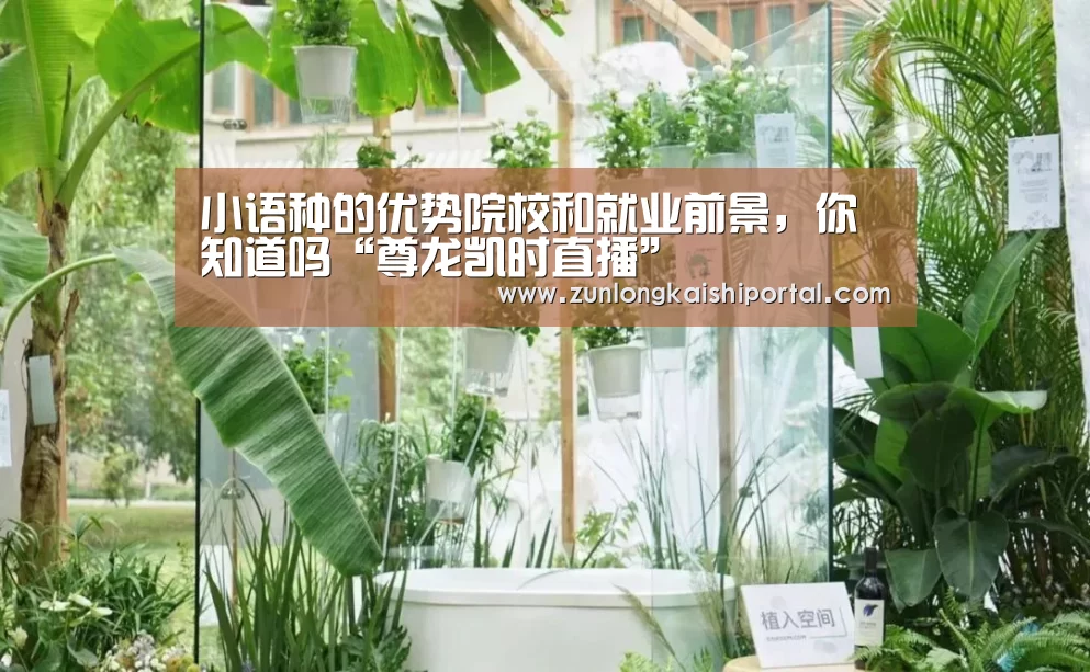 小语种的优势院校和就业前景,你知道吗“尊龙凯时直播”(图2) 尊龙凯时人生就是搏