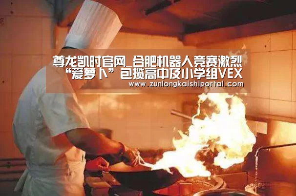 尊龙凯时官网_合肥机器人竞赛激烈 “爱萝卜”包揽高中及小学组VEX(图3) 尊龙凯时直播
