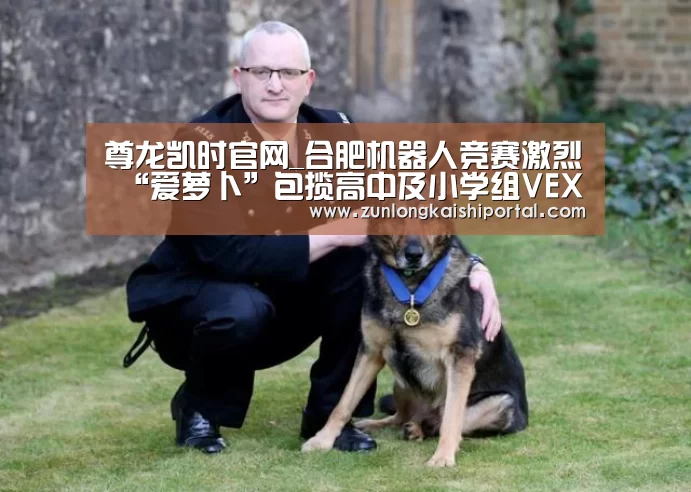 尊龙凯时官网_合肥机器人竞赛激烈 “爱萝卜”包揽高中及小学组VEX(图2) 尊龙凯时人生就是搏