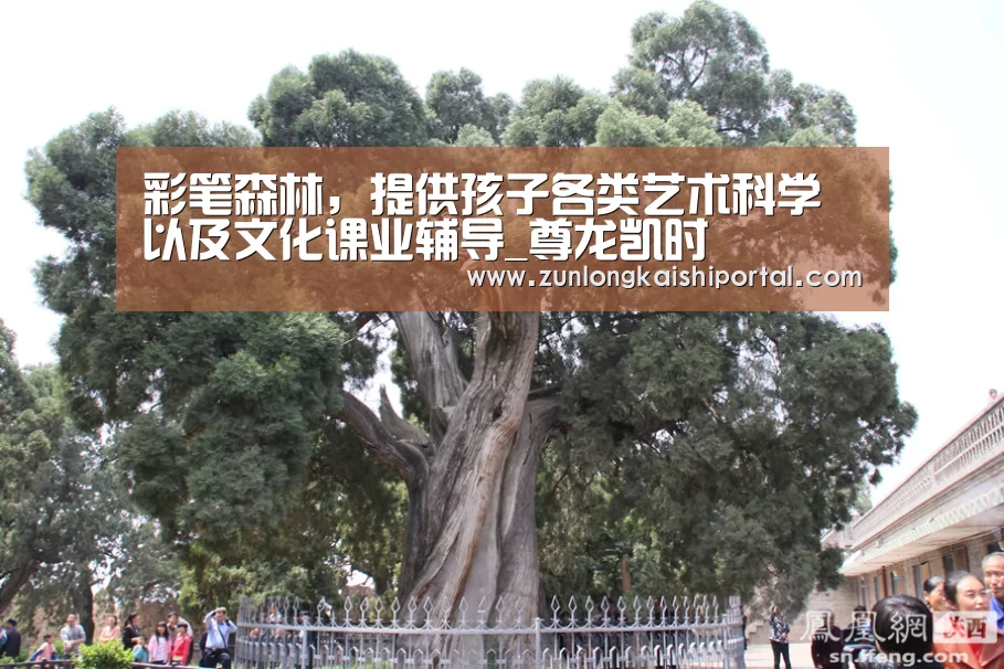 尊龙凯时直播