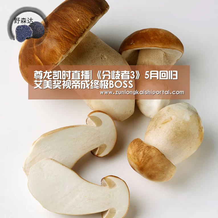 尊龙凯时直播|《分歧者3》5月回归 艾美奖视帝成终极BOSS(图1) 尊龙凯时官网
